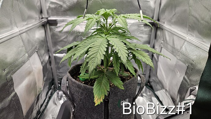 Growreport Bild 28