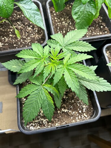 Growreport Bild 18