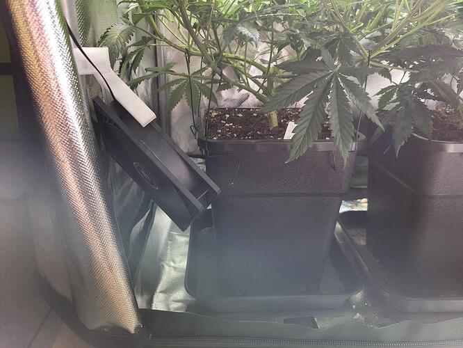 Growreport Bild 2