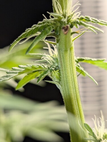 Growreport Bild 3