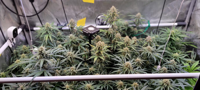 Growreport Bild 8