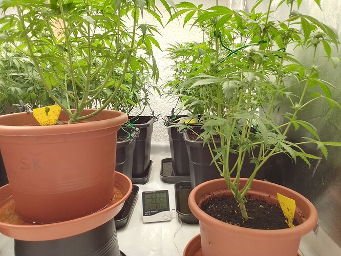 Growreport Bild 10