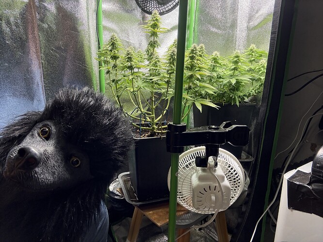 Growreport Bild 47
