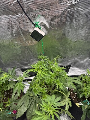 Growreport Bild 8