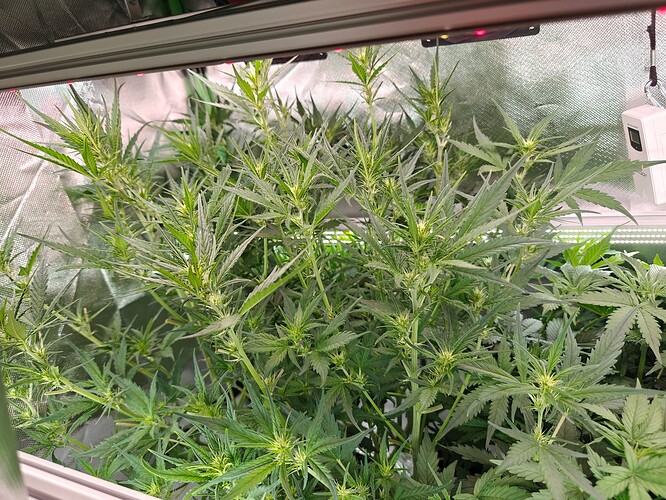 Growreport Bild 12