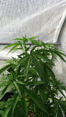 Growreport Bild 9