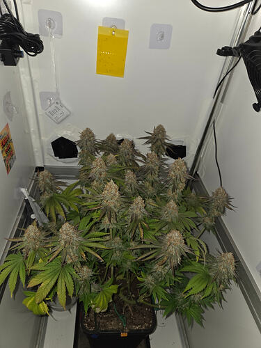 Growreport Bild 9