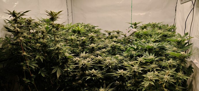 Growreport Bild 2
