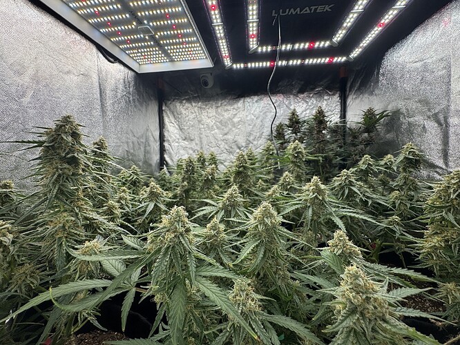 Growreport Bild 12