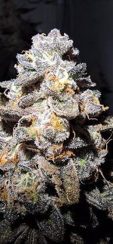 Growreport Bild 19