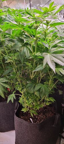 Growreport Bild 8