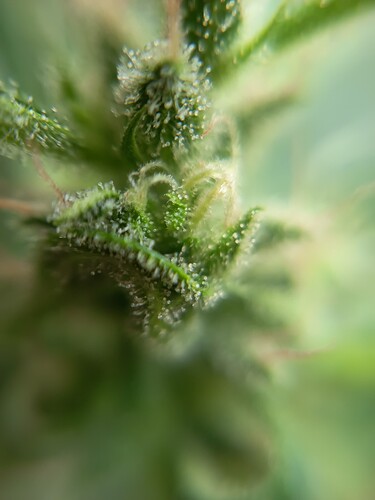 Growreport Bild 17