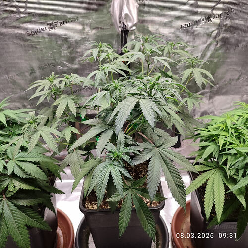 WhatsApp Image 2026-03-08 at 13.47.09