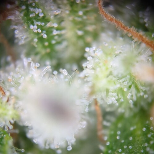 Screenshot_20240720-005846~2