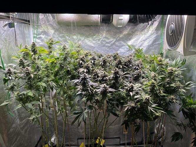 Growreport Bild 12