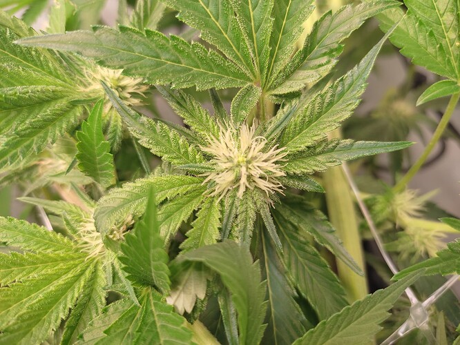 Growreport Bild 16