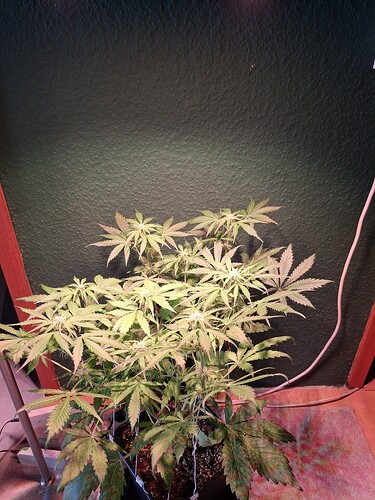 Growreport Bild 10