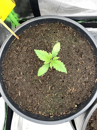 Growreport Bild 15