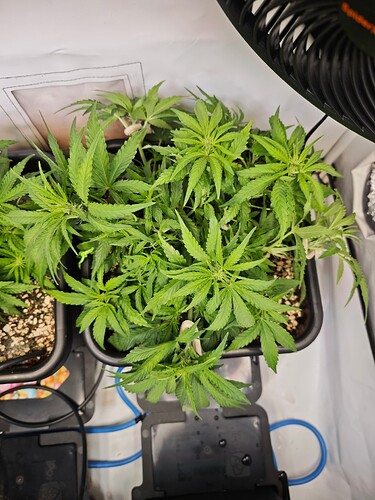 MVIMG_20251016_184215