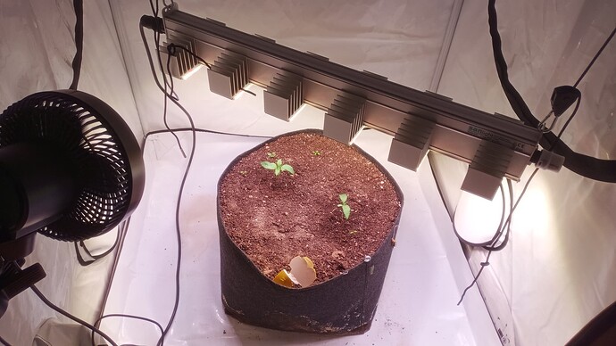 IMG_20250407_154816_056