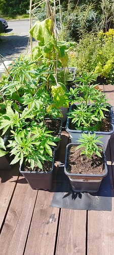 Growreport Bild 12