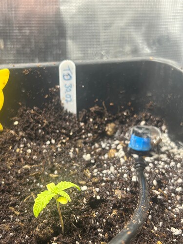 Growreport Bild 44