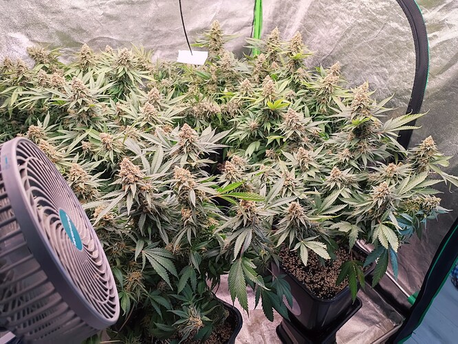 Growreport Bild 22