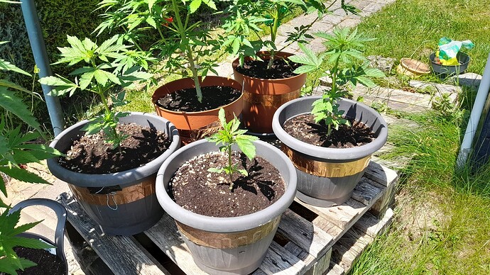 Growreport Bild 22