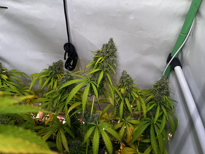 Growreport Bild 10