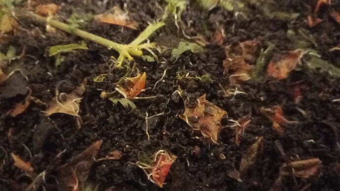 Growreport Bild 17