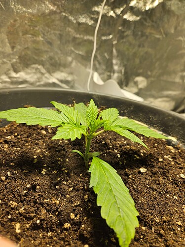 Growreport Bild 20