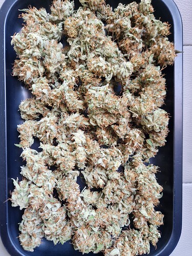 Growreport Bild 15