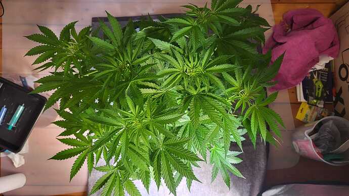Growreport Bild 10