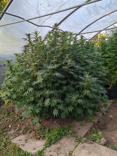 2025-10-02-18-16-11-840