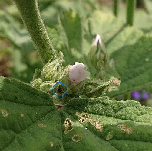 Growreport Bild 53