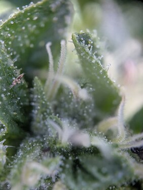 PXL_20250621_142633680