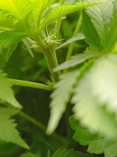 Growreport Bild 5