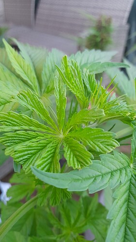 Growreport Bild 4