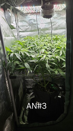Growreport Bild 24