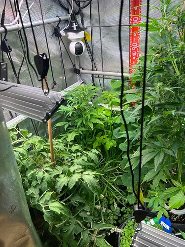 Growreport Bild 51