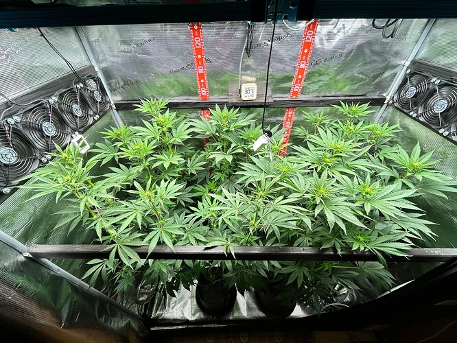 Growreport Bild 12