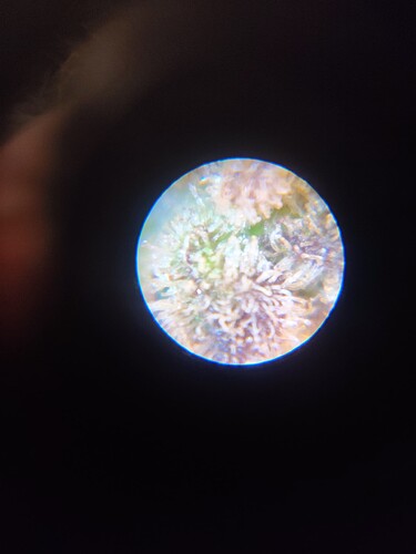 Growreport Bild 22