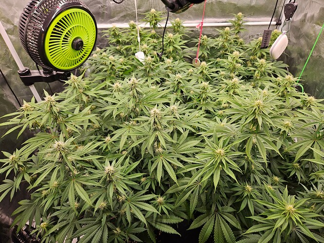 Growreport Bild 19
