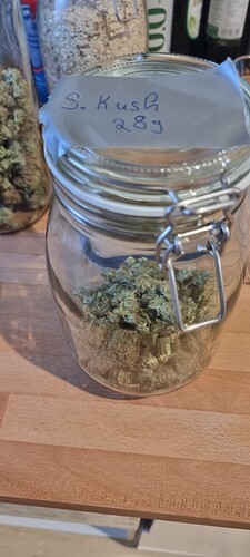 Growreport Bild 5