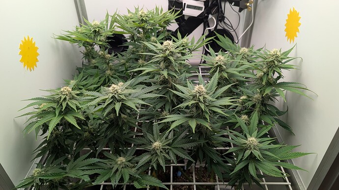 Growreport Bild 18