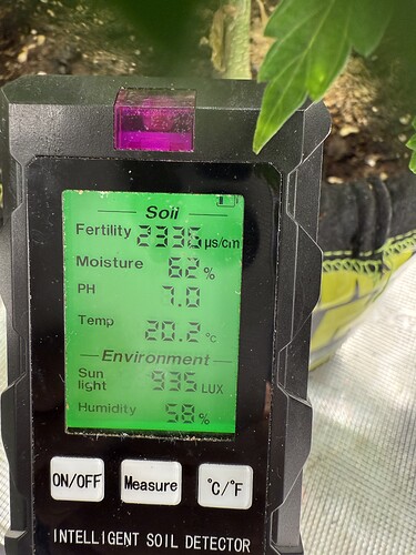 Growreport Bild 5