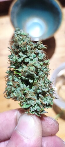 Growreport Bild 19