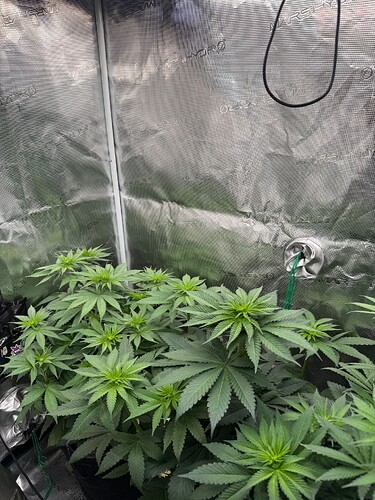 Growreport Bild 6