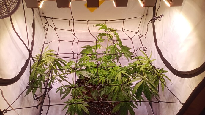 Growreport Bild 11