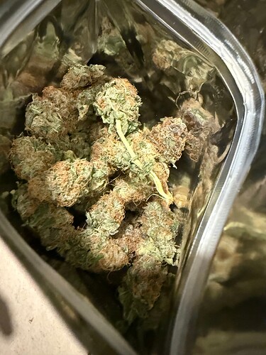 Growreport Bild 6
